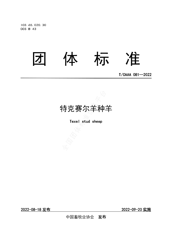 T/CAAA 081-2022 标准预览