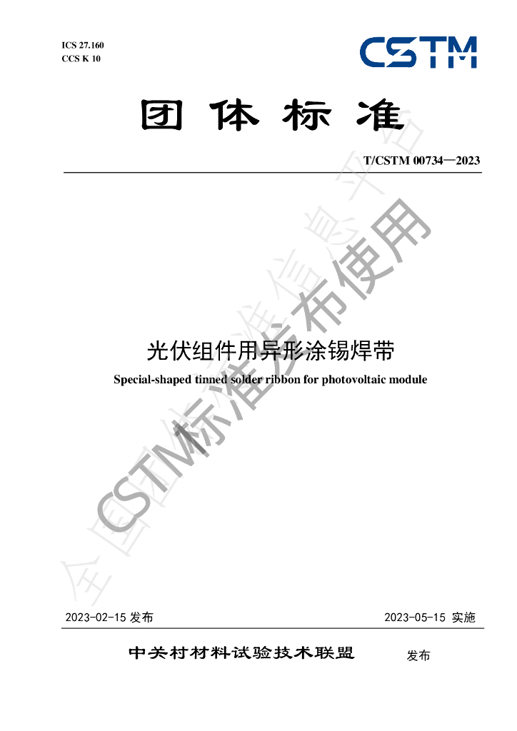 T/CSTM 00734-2023 标准预览