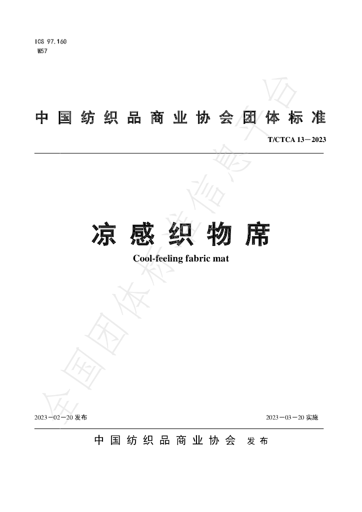 T/CTCA 13-2023 标准预览