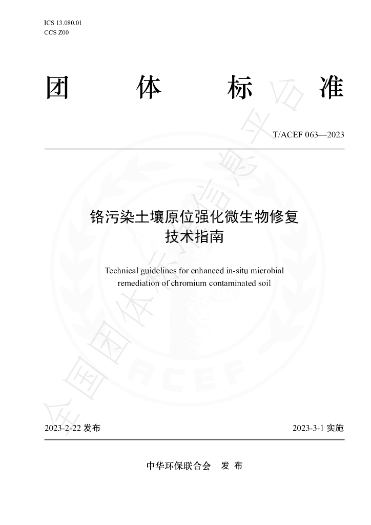 T/ACEF 063-2023 标准预览