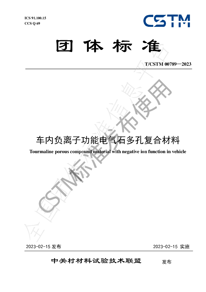 T/CSTM 00789-2023 标准预览