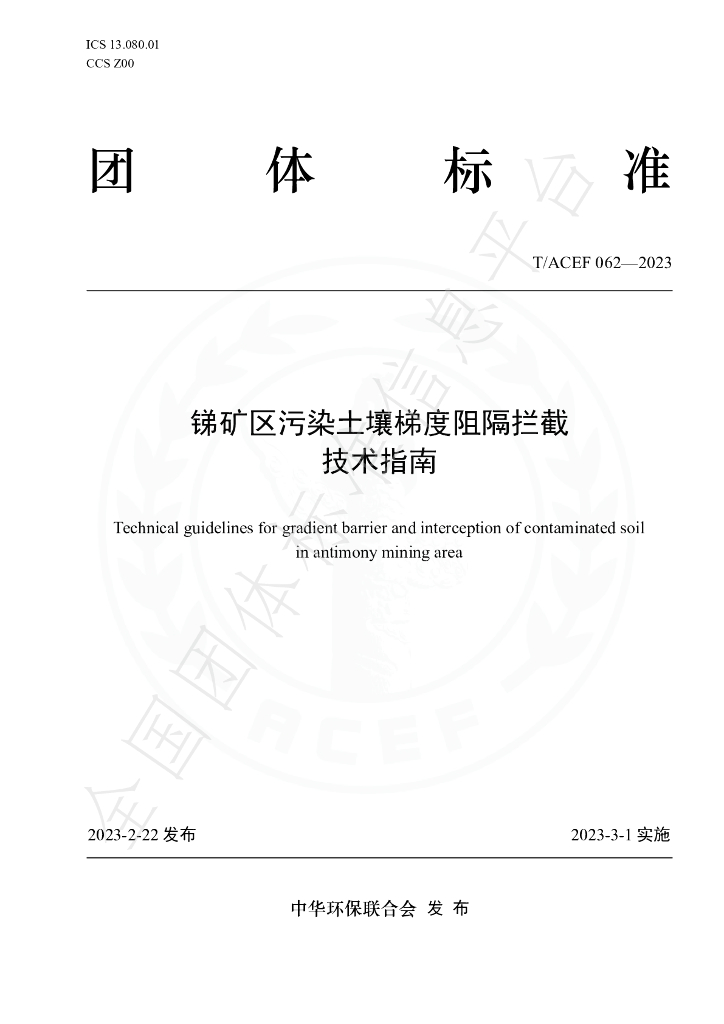 T/ACEF 062-2023 标准预览