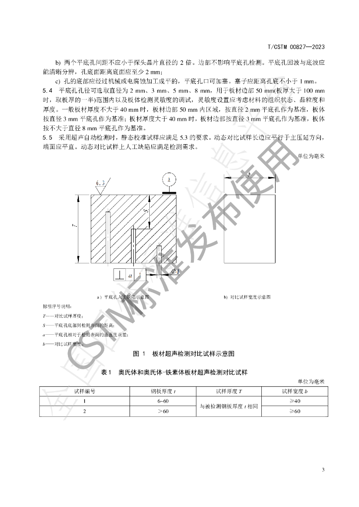 T/CSTM 00827-2023 标准预览