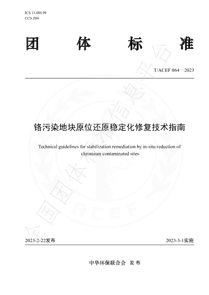 T/ACEF 064-2023 标准预览