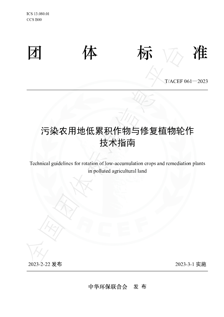 T/ACEF 061-2023 标准预览