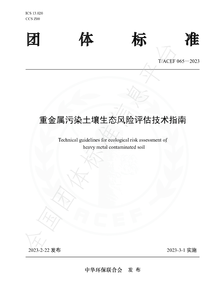 T/ACEF 065-2023 标准预览