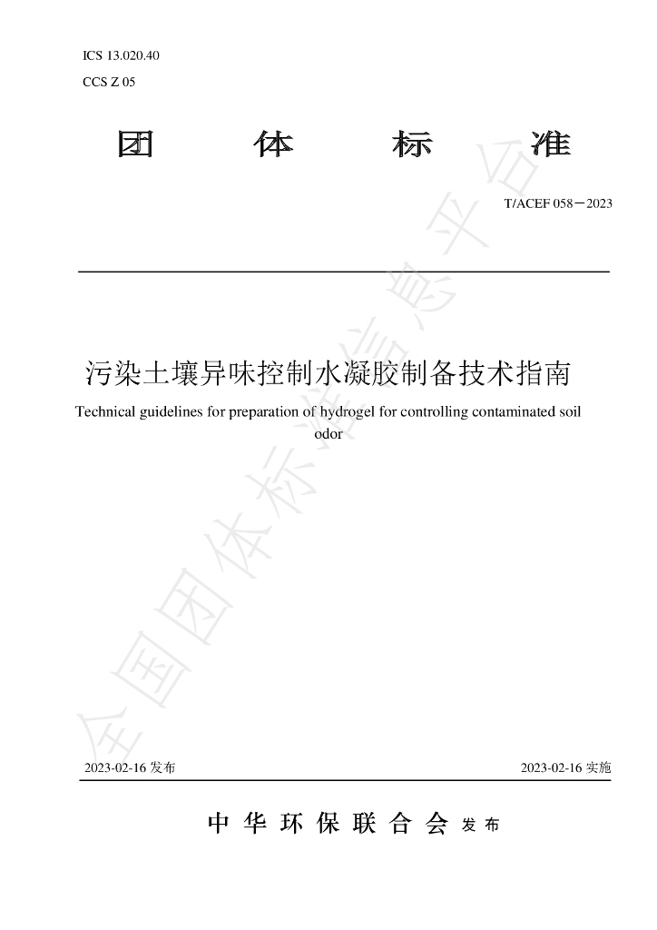 T/ACEF 058-2023 标准预览