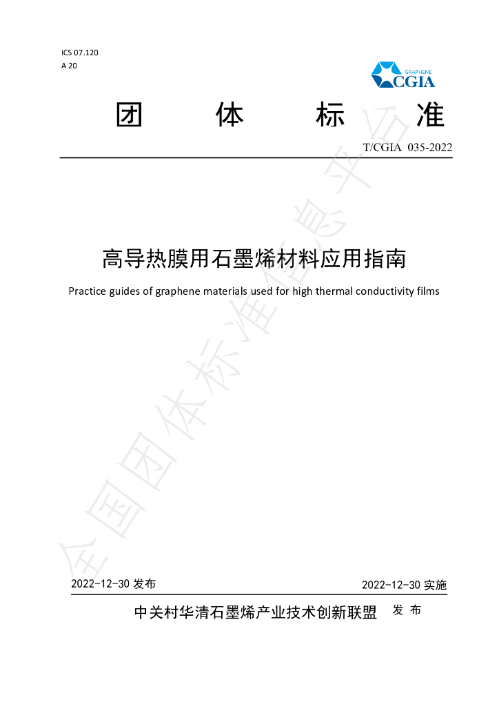 T/CGIA 035-2022 标准预览