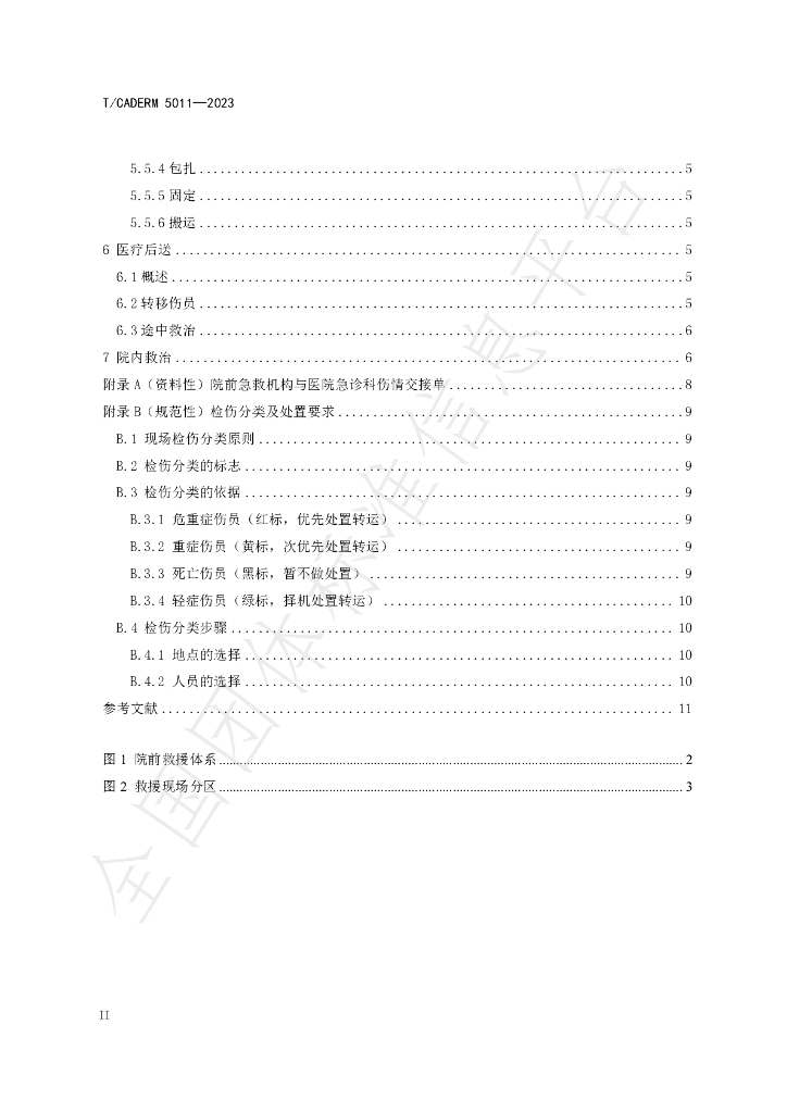 T/CADERM 5011-2023 标准预览