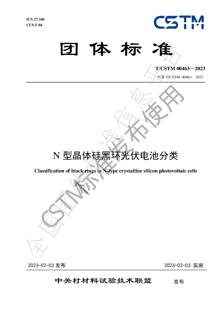 T/CSTM 00463-2023 标准预览
