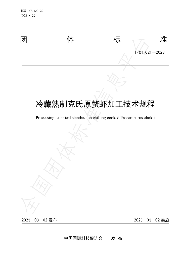 T/CI 021-2023 标准预览