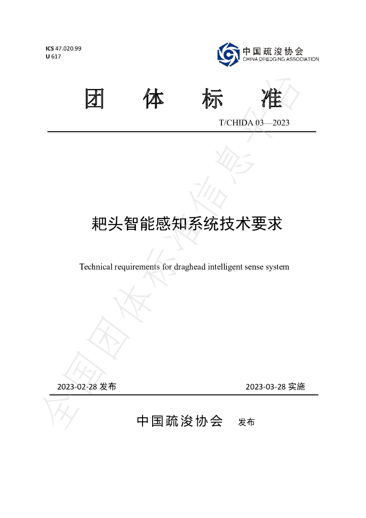 T/CHIDA 03-2023 标准预览