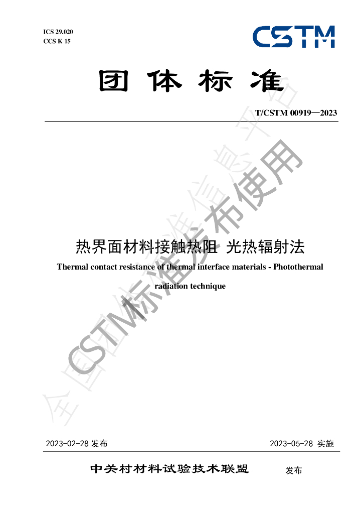 T/CSTM 00919-2023 标准预览