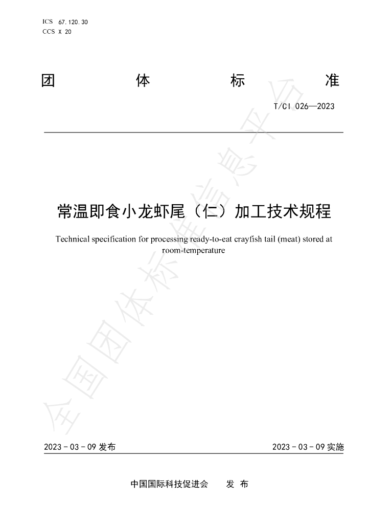 T/CI 026-2023 标准预览