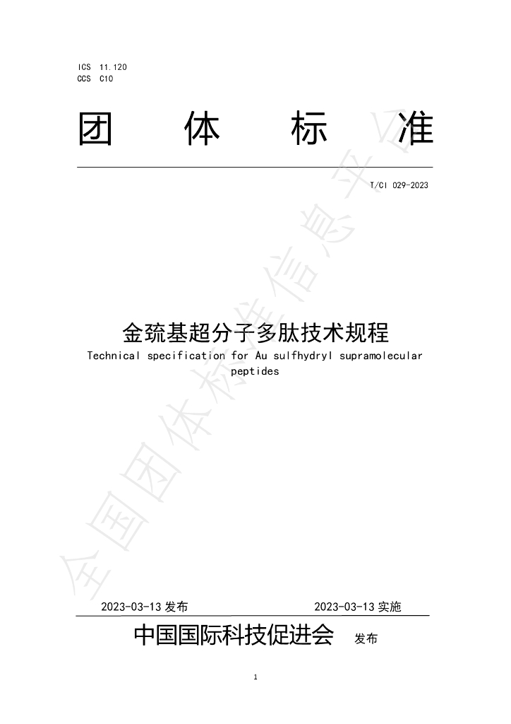 T/CI 029-2023 标准预览