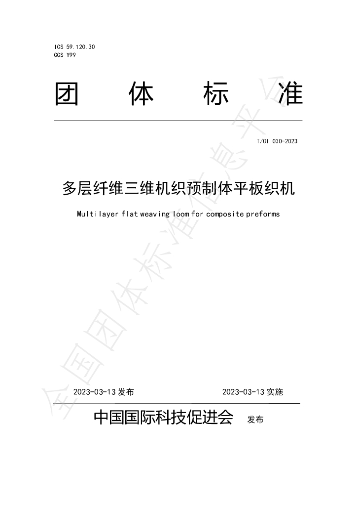T/CI 030-2023 标准预览