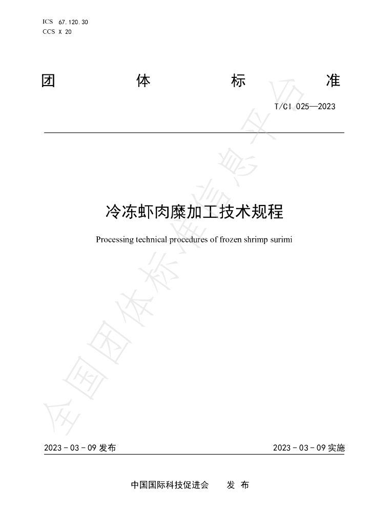 T/CI 025-2023 标准预览