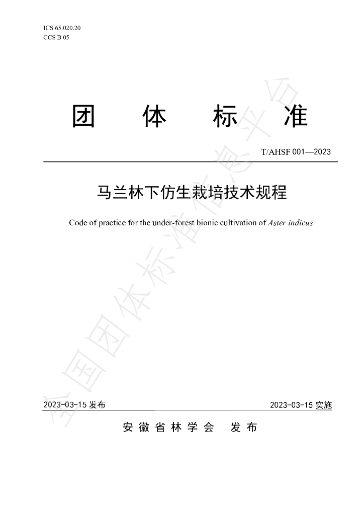 T/AHSF 001-2023 标准预览