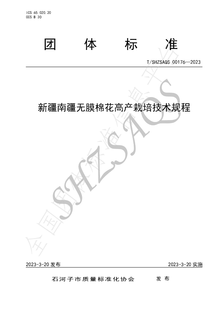 T/SHZSAQS 00176-2023 标准预览
