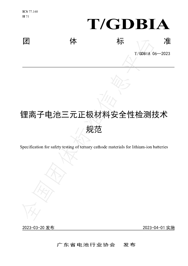 T/GDBIA 06-2023 标准预览
