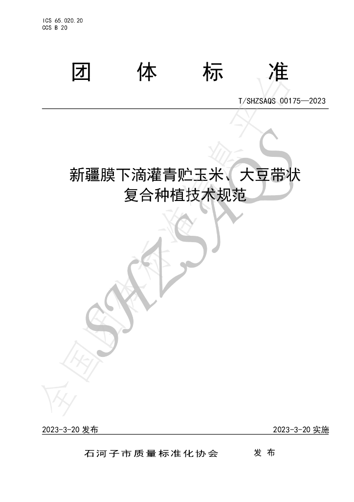 T/SHZSAQS 00175-2023 标准预览