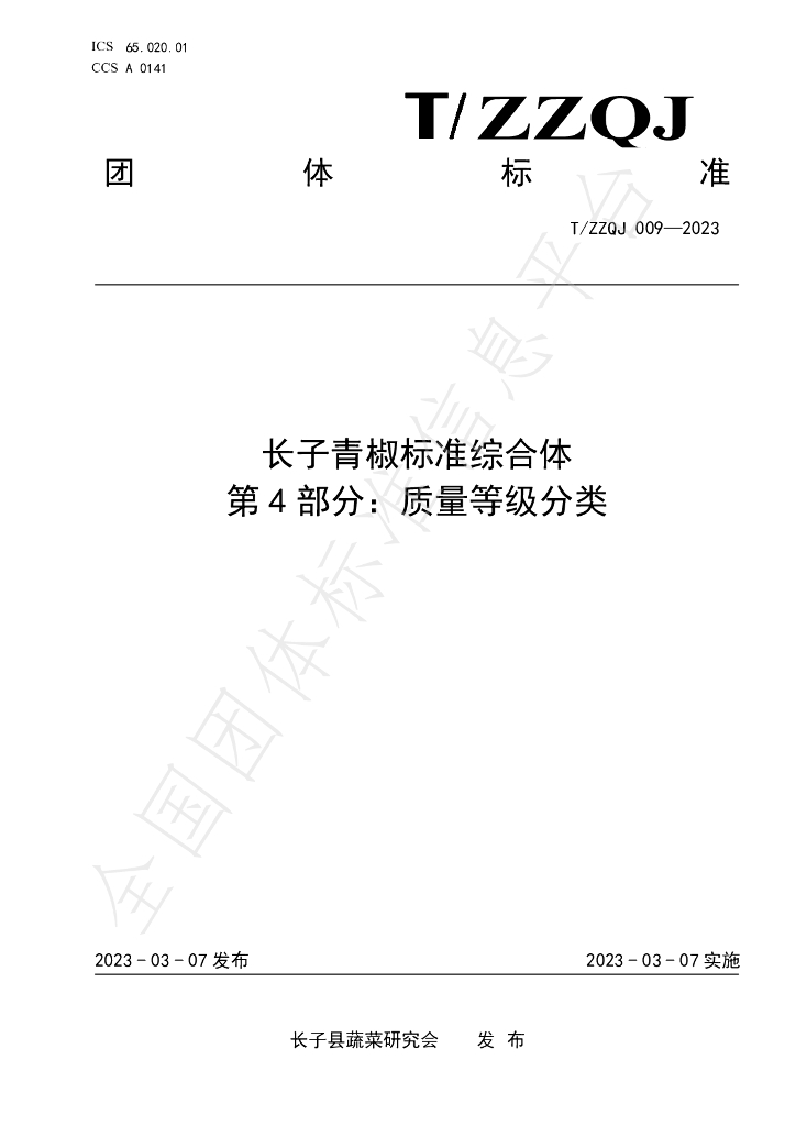 T/ZZQJ 009-2023 标准预览