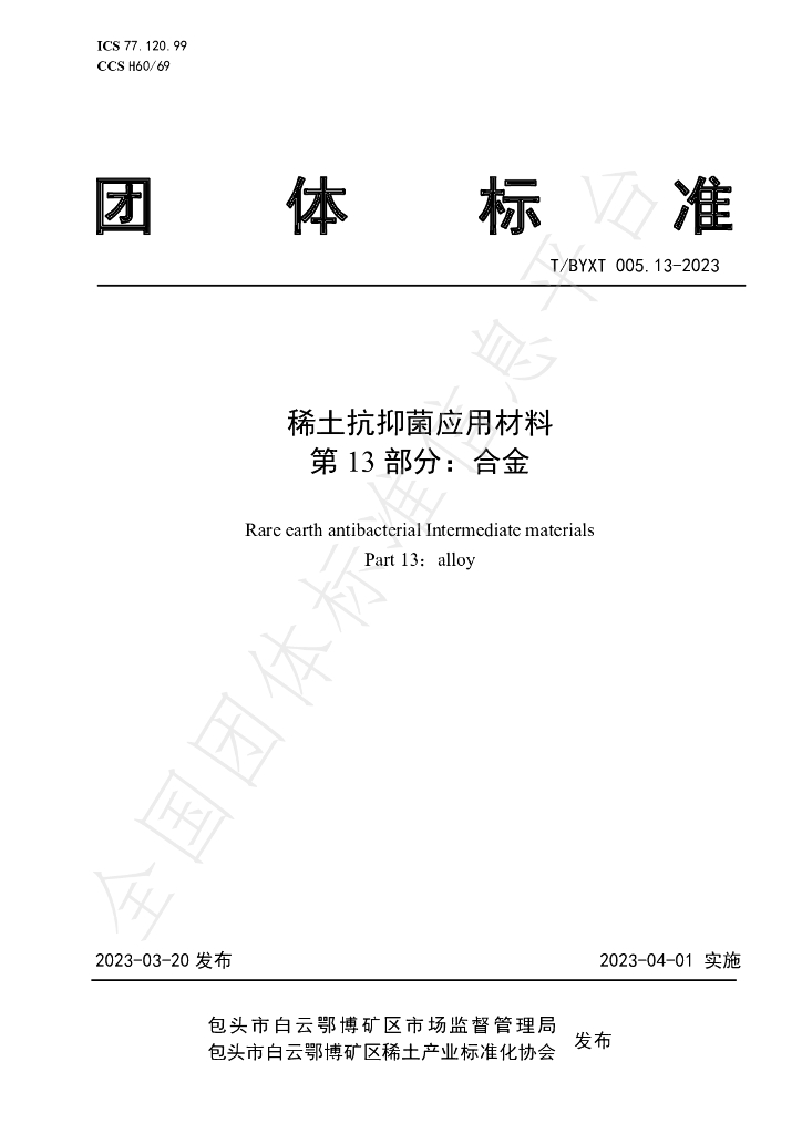 T/BYXT 005.13-2023 标准预览