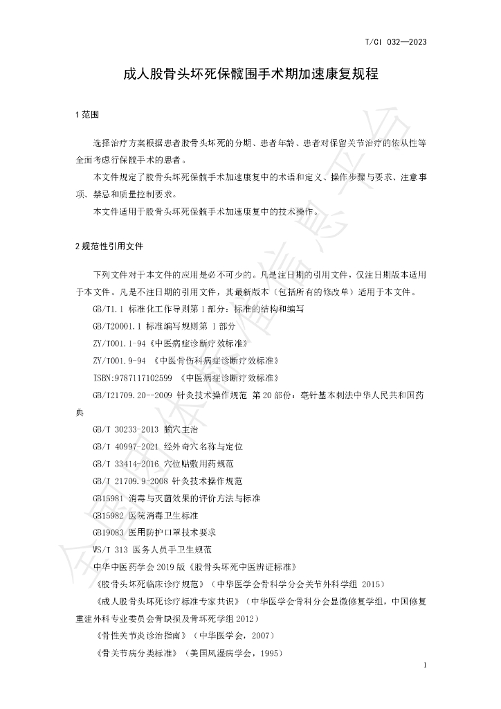 T/CI 032-2023 标准预览