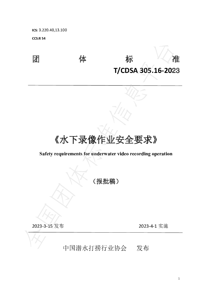 T/CDSA 305.16-2023 标准预览
