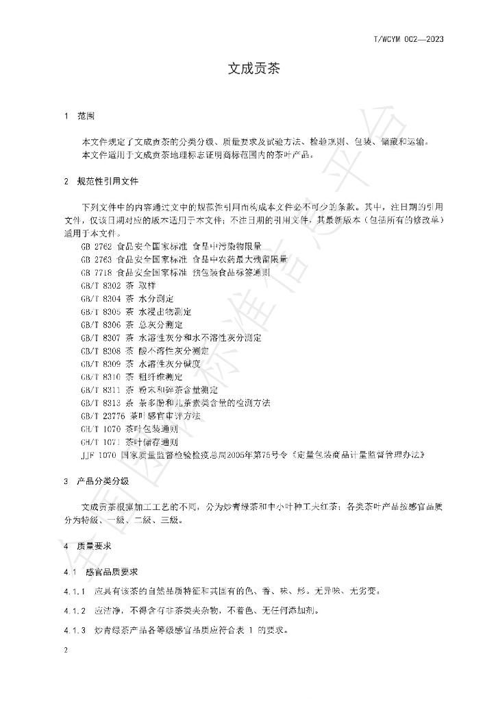 T/WCGT 002-2023 标准预览