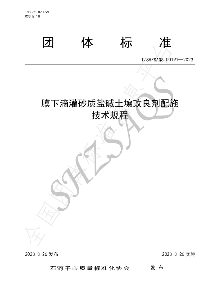T/SHZSAQS 00191-2023 标准预览