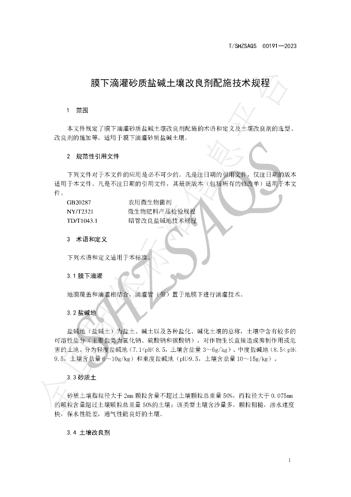T/SHZSAQS 00191-2023 标准预览