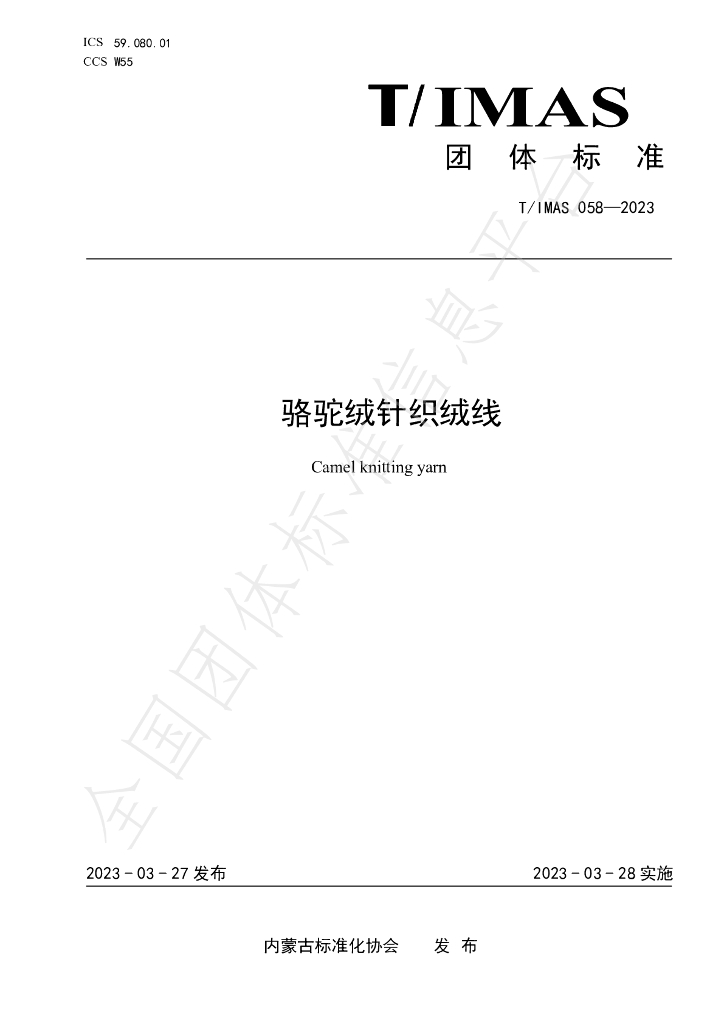 T/IMAS 058-2023 标准预览