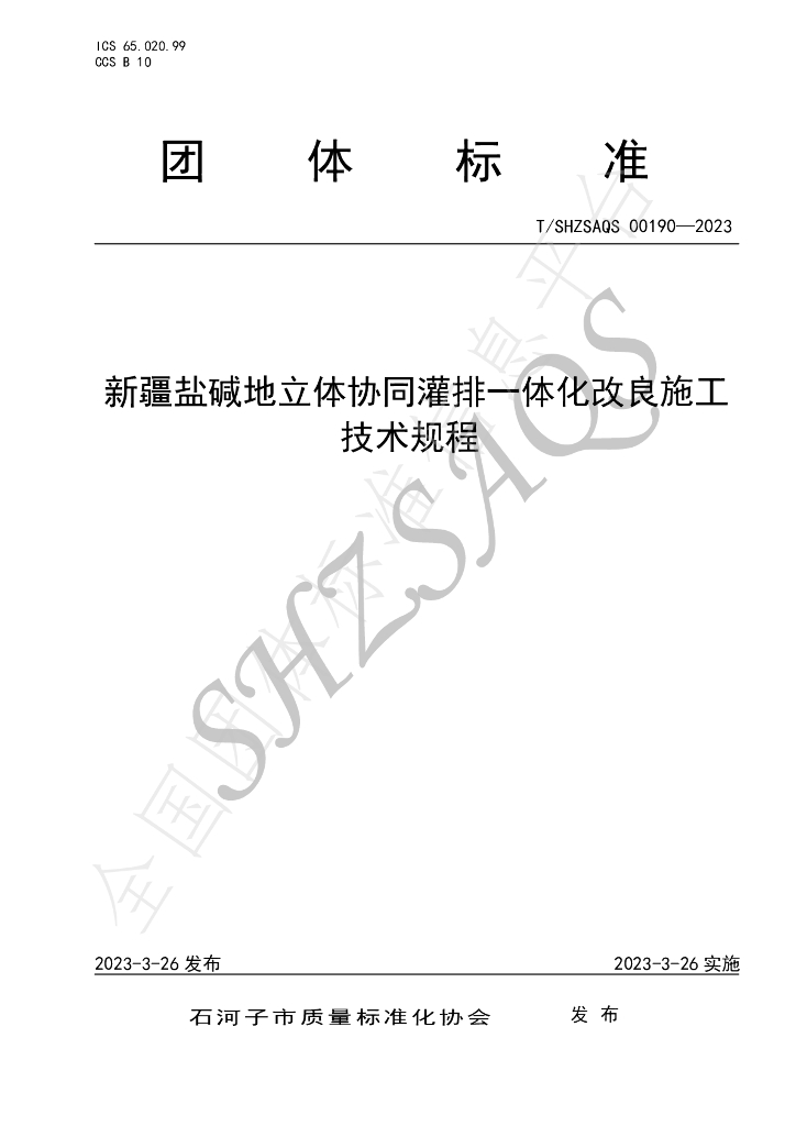 T/SHZSAQS 00190-2023 标准预览
