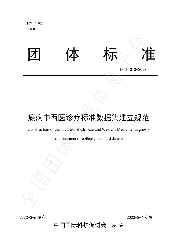 T/CI 010-2023 标准预览