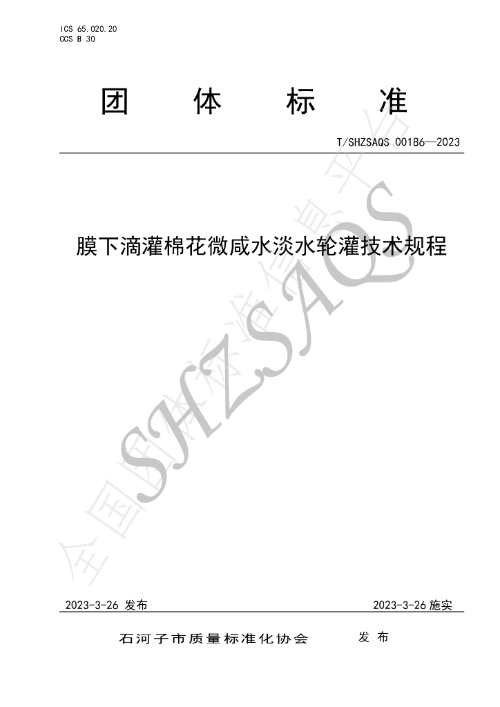 T/SHZSAQS 00186-2023 标准预览