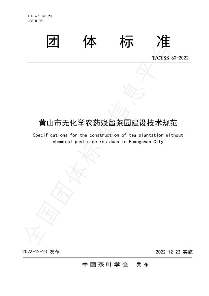 T/CTSS 60-2022 标准预览