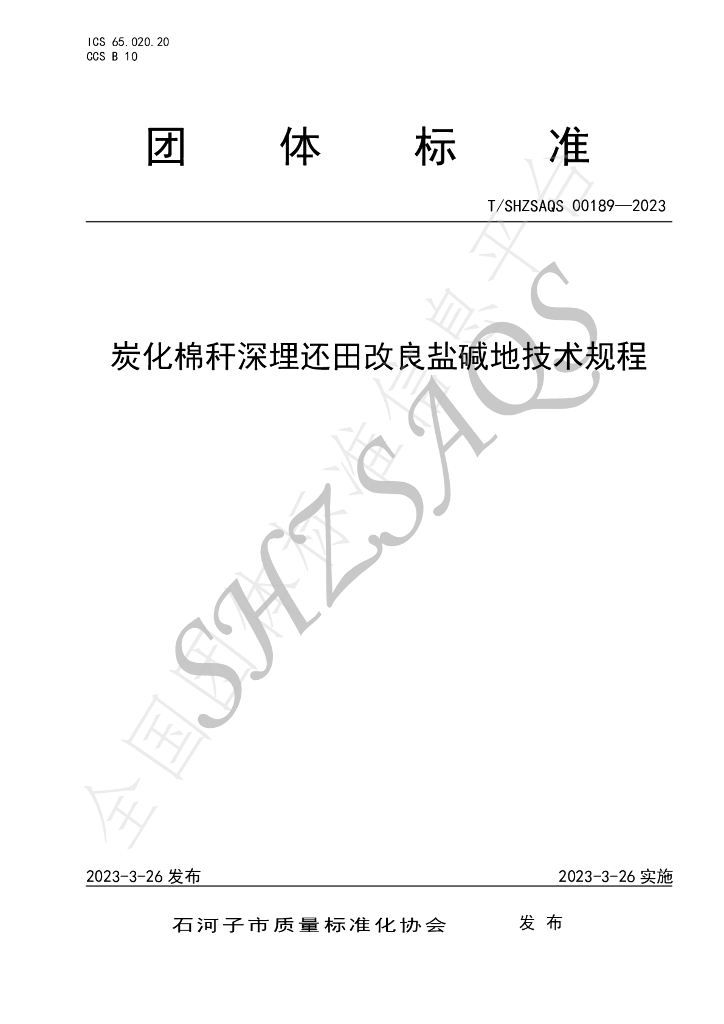 T/SHZSAQS 00189-2023 标准预览