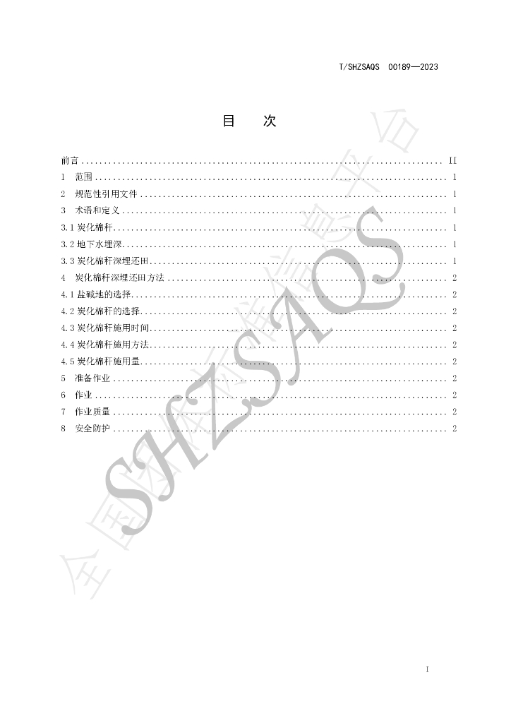 T/SHZSAQS 00189-2023 标准预览