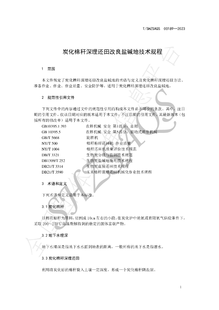 T/SHZSAQS 00189-2023 标准预览