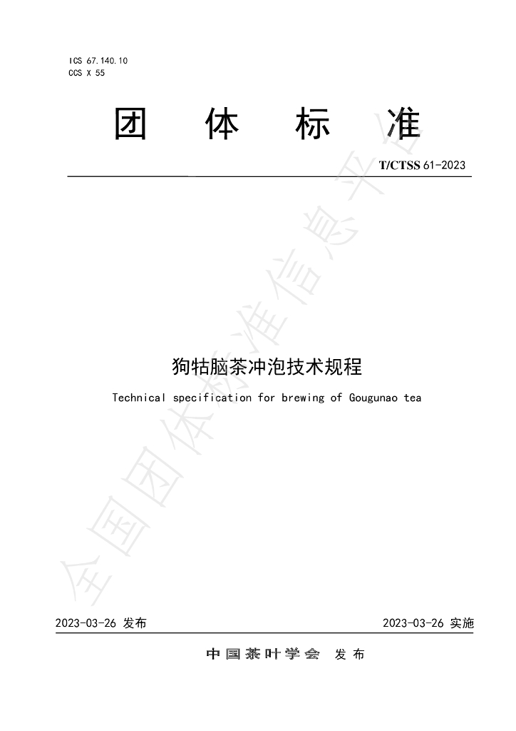 T/CTSS 61-2023 标准预览