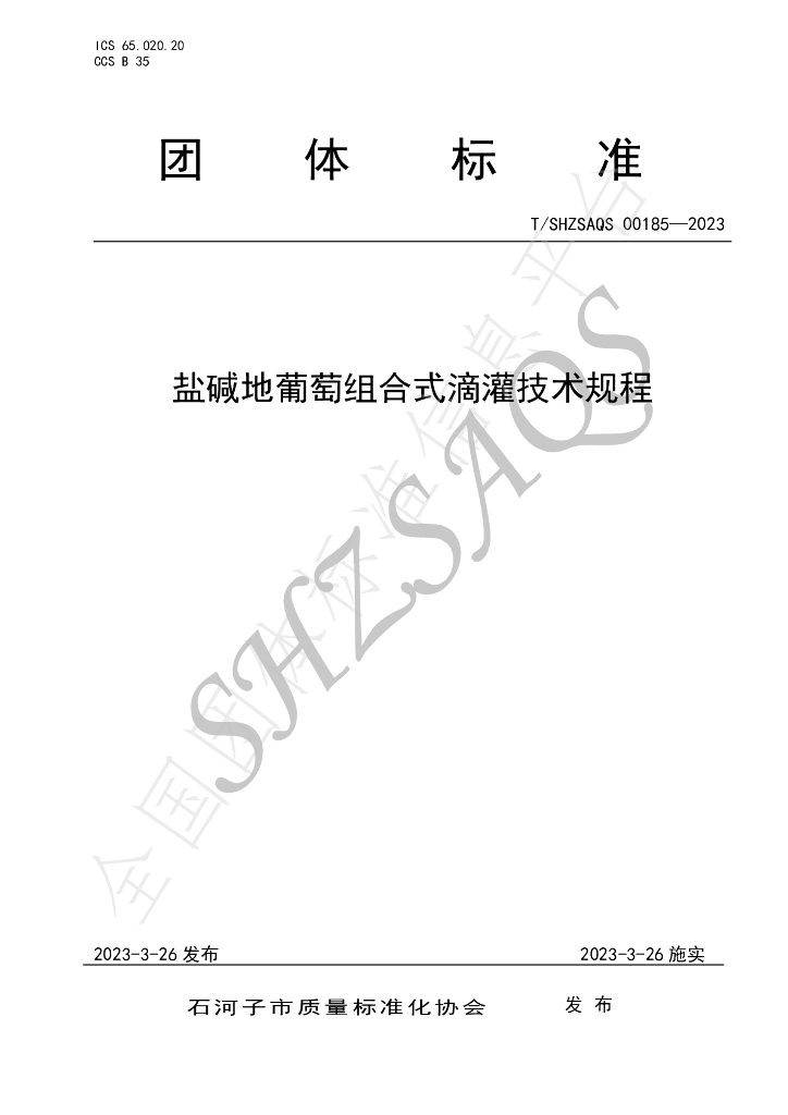 T/SHZSAQS 00185-2023 标准预览