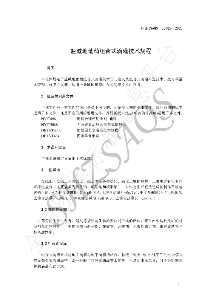 T/SHZSAQS 00185-2023 标准预览