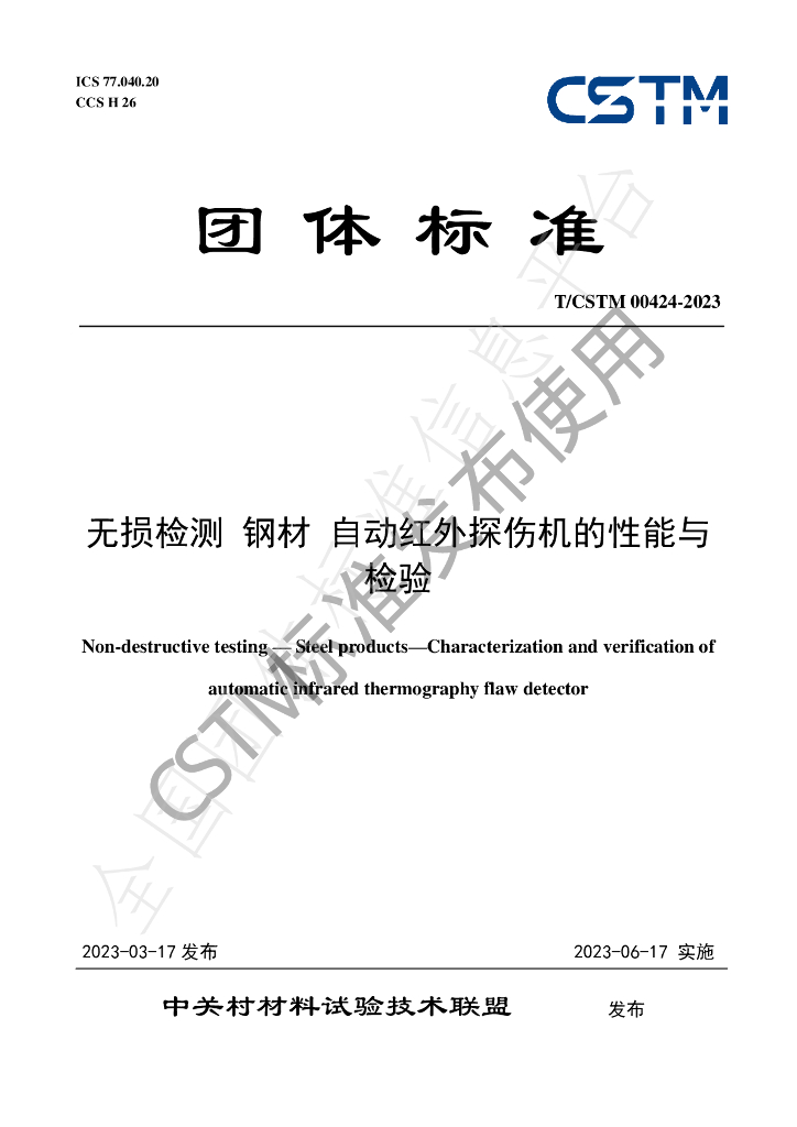 T/CSTM 00424-2023 标准预览
