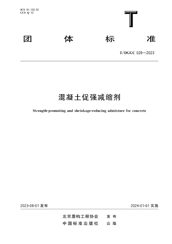 T/DGGC 028-2023 标准预览
