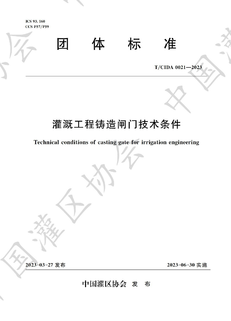 T/CIDA 0021-2023 标准预览