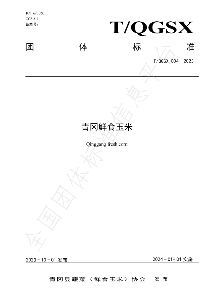 T/QGSX 004-2023 标准预览