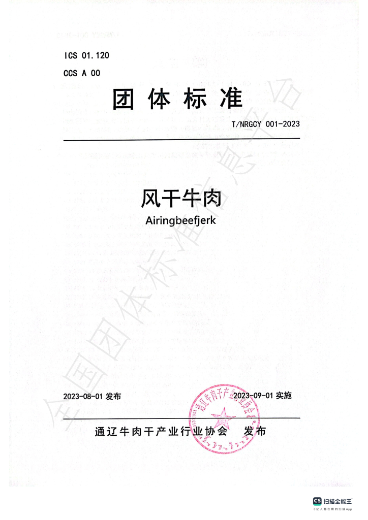 T/NRGCY 001-2023 标准预览