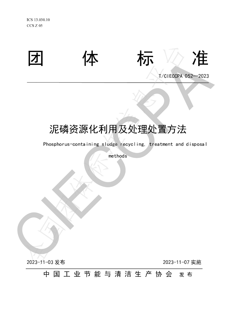 T/CIECCPA 052-2023 标准预览