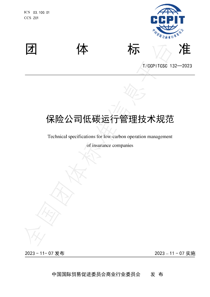 T/CCPITCSC 132-2023 标准预览
